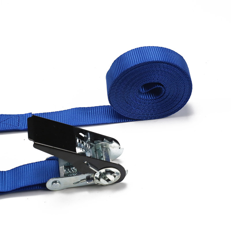 25MM Ratchet ligare Type S Hook (Model BT-TDS-021)