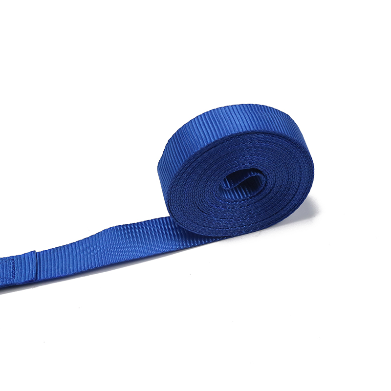 25MM Ratchet ligare Type S Hook (Model BT-TDS-021)