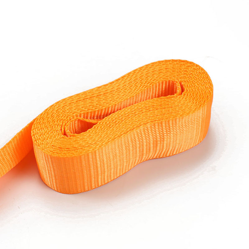 2Inch Cam Fibula Cingulum alligate Straps